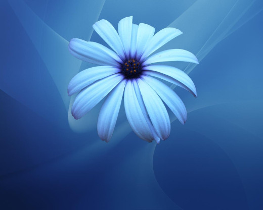 2735 (a): :1280x1024